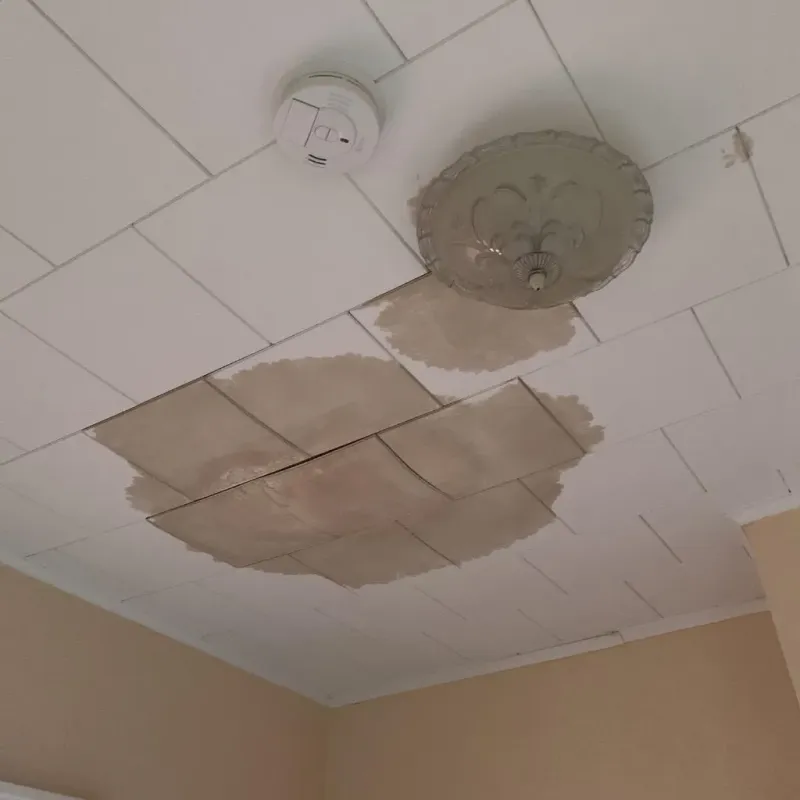 Ceiling Water Damage Repair in North Kingsville, OH