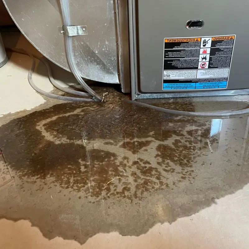 Pipe Burst and Leak Restoration in North Kingsville, OH