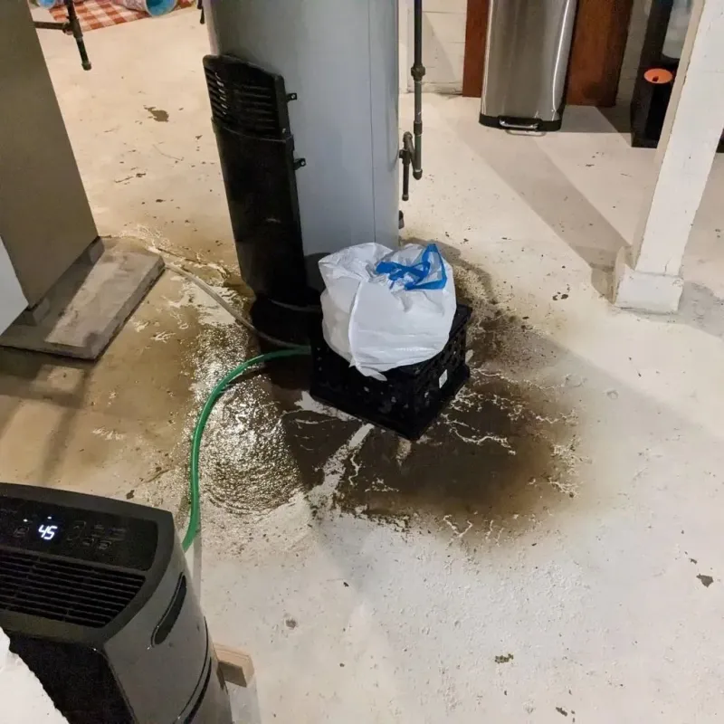 Sewage Backup Cleanup Service in North Kingsville, OH